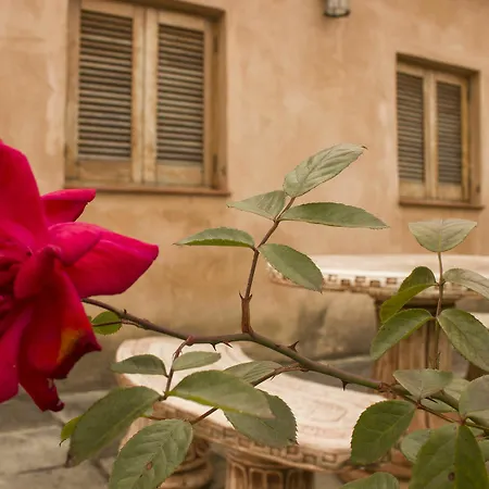 Casa Rural La Tanquera Hotell Los Realejos