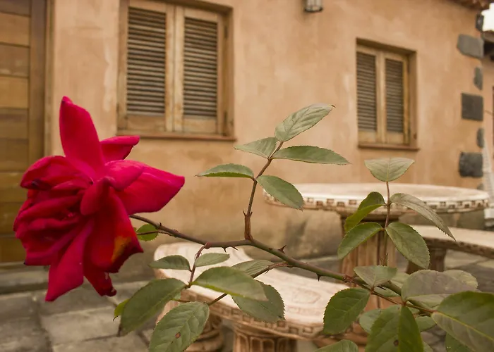 La Tanquera 酒店 洛斯雷尔雷赫斯